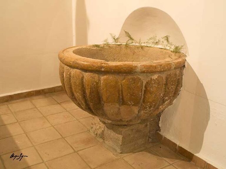 2 santiuste la transfiguracion 2 768x576