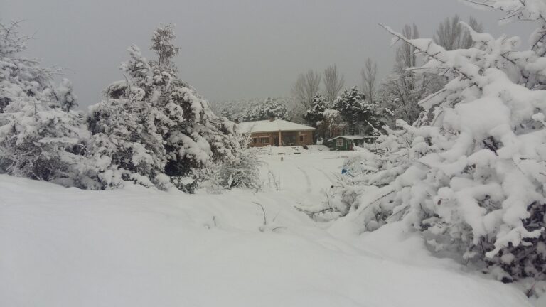 20180205 092117 1 768x432