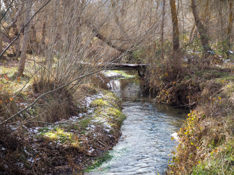 210407 baides 3 1 768x576