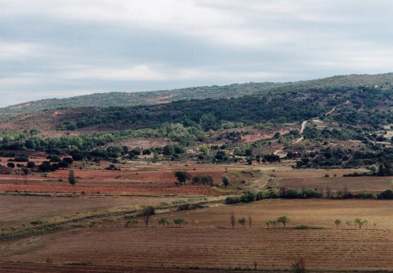 Alcolea de las Penas 2 768x534