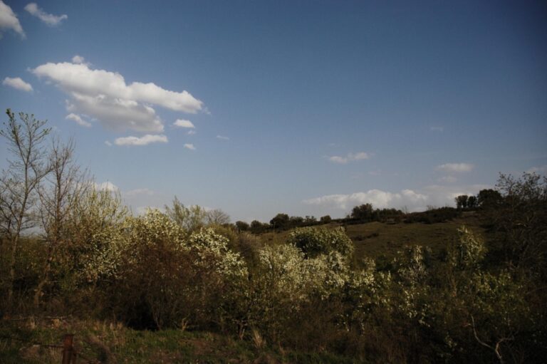 Arroyo Fraguas 5 768x511