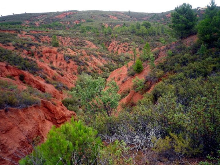 Carcavas Puebla 768x576