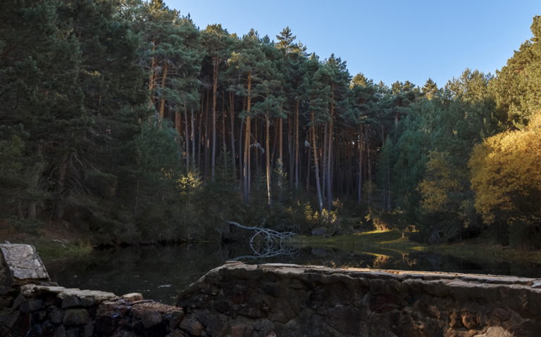 Condemios de Arriba 2 768x479