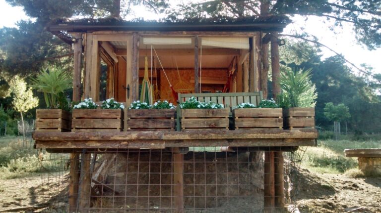 IMG 20160730 191258886 HDR 768x431