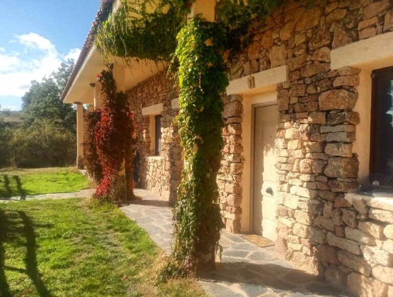 IMG 20201003 111101 DRO 1 768x581