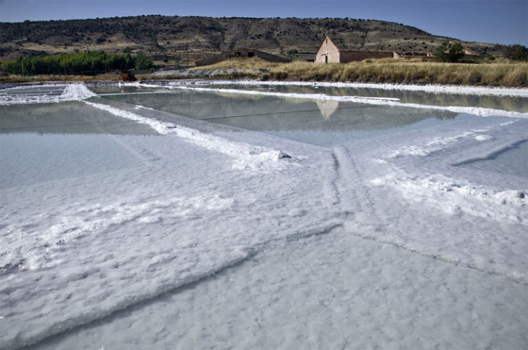 Imon salinas 768x510