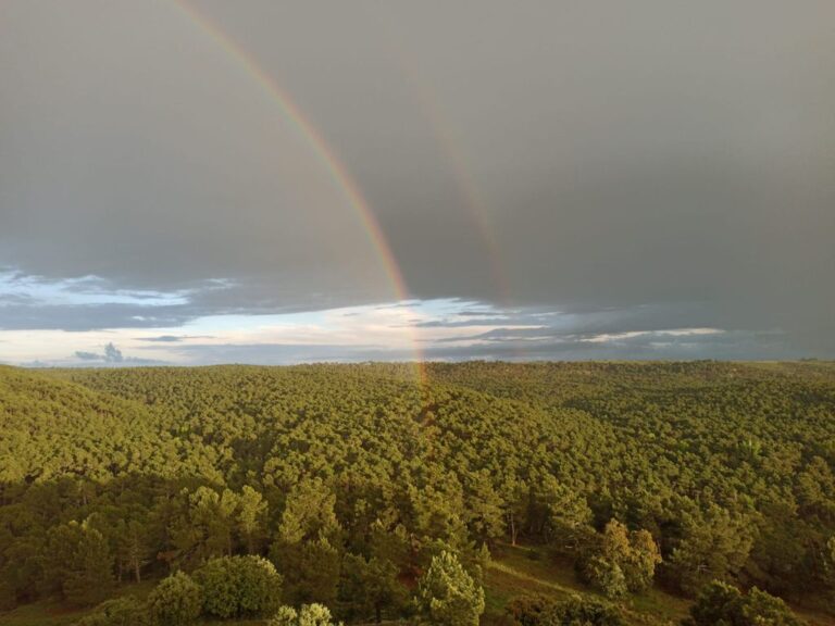 La Granaina 7 1 768x576