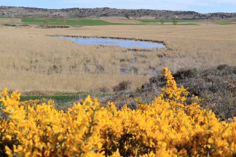 Laguna Madrigal Paredes 2 768x512