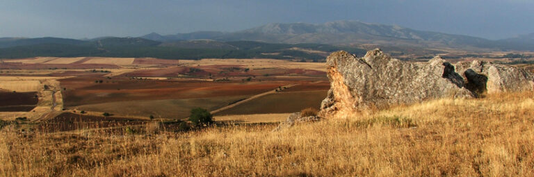 Miedes de atienza 6 768x255