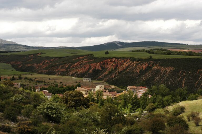 Monasterio 4 768x511