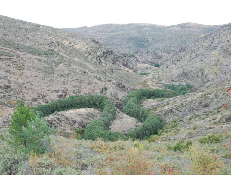 Pelagallinas Reserva fluvial 768x584