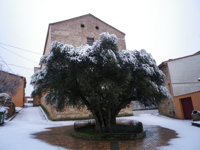 Puebal de Valles 2 768x576