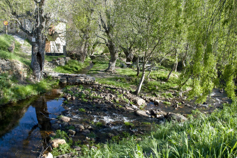 Rio Pelagalllinas en P 768x514