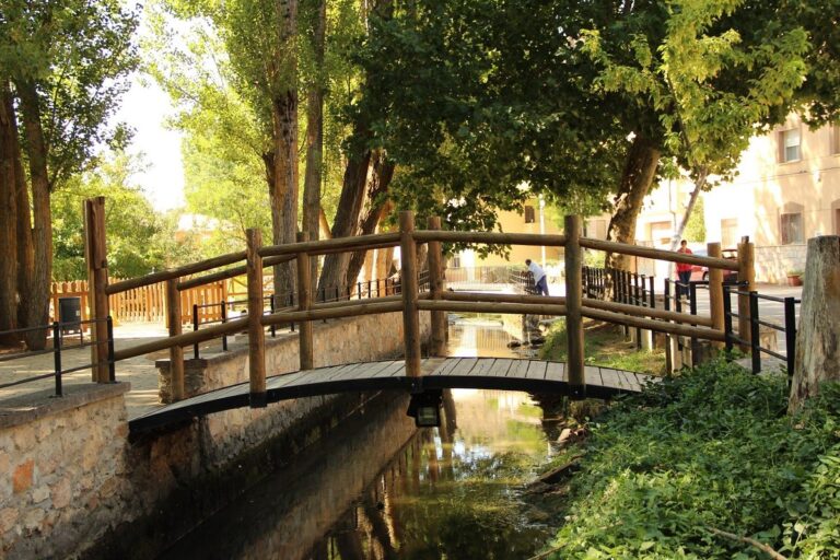 Rio Tajuna abanades 768x512