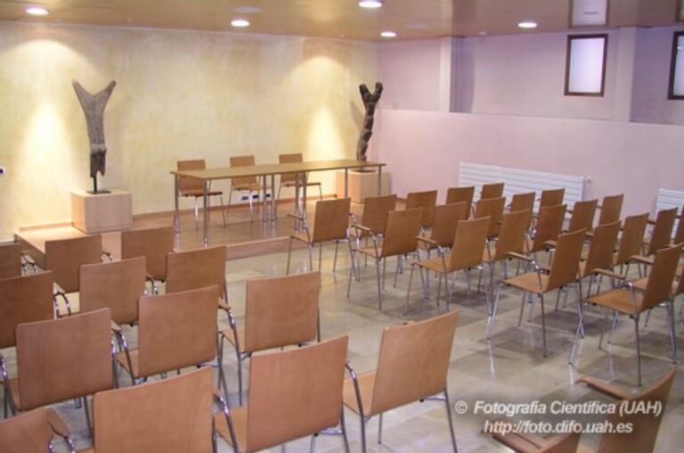 SALON DE ACTOS 768x508