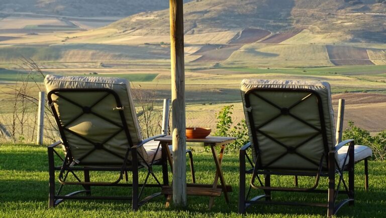 VISTA GENERAL AHORA 2 Cardamomo 768x435