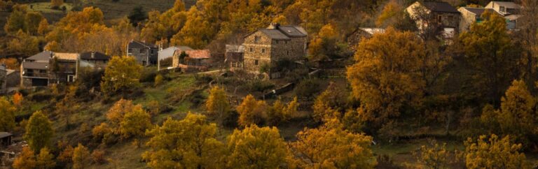 Villares 8 768x242