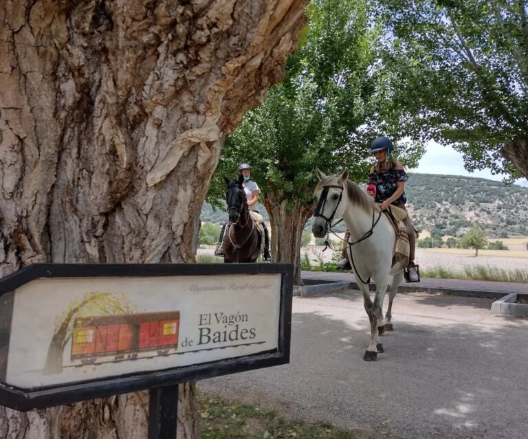 caballo baides 2 768x639