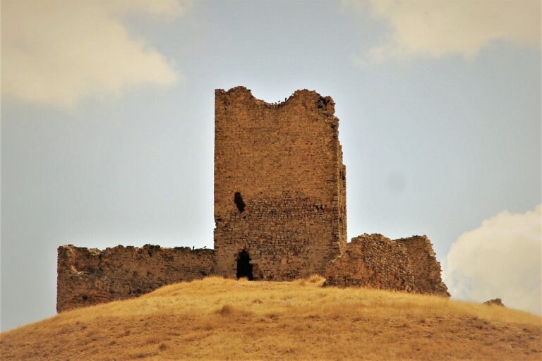 castillo de la luna la torresavinan pedania de torremocha del campo guadalajara 72973 xl 1 768x512