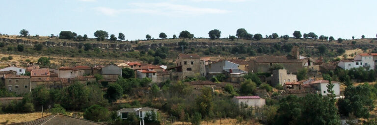congostrina 1 768x255