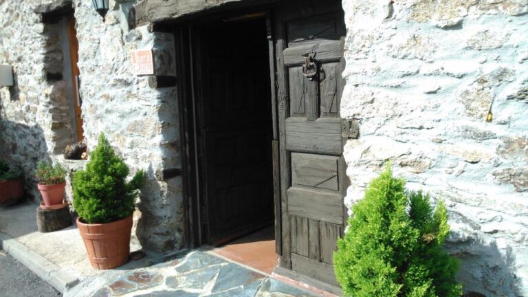 entrada pajaro bobo 768x432