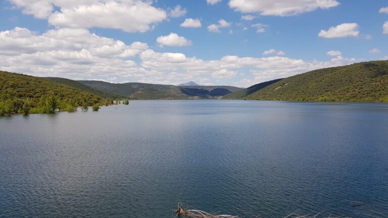 fe80a2ac 7455 42b8 ae7e c126d47f9484 768x432