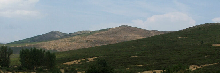 pan robledo de corpes 7 768x255