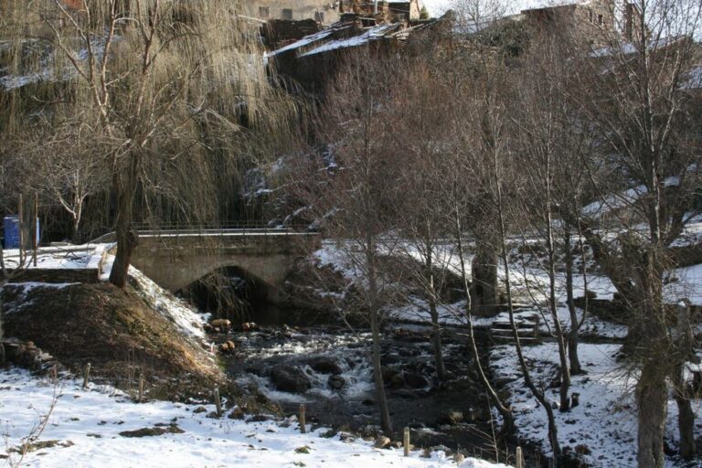 pradena de atienza guadalajara 768x512