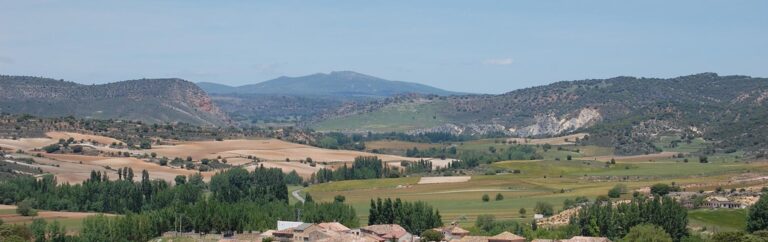 viana de jadraque  768x242