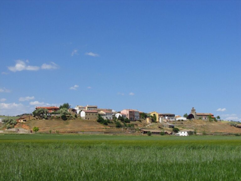 villaseca de henares 2 768x576